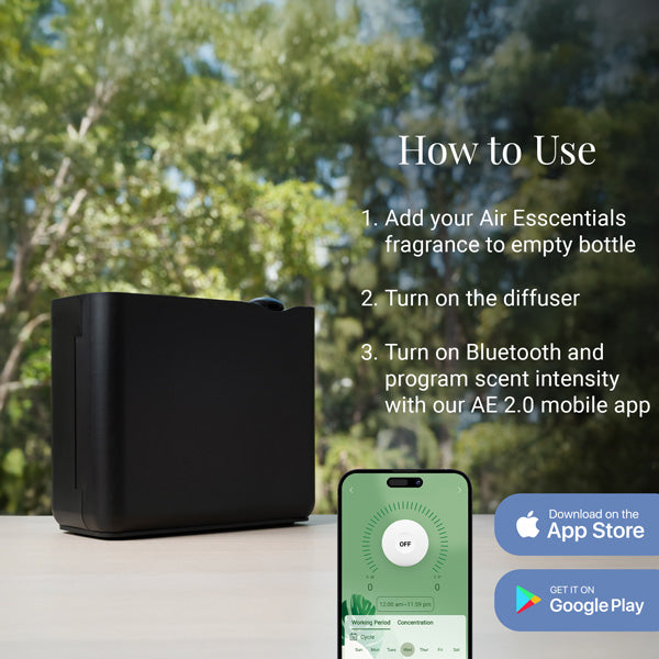 The Radiant Diffuser [Black]