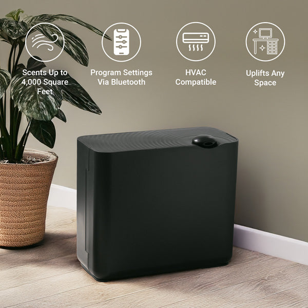The Radiant Diffuser [Black]